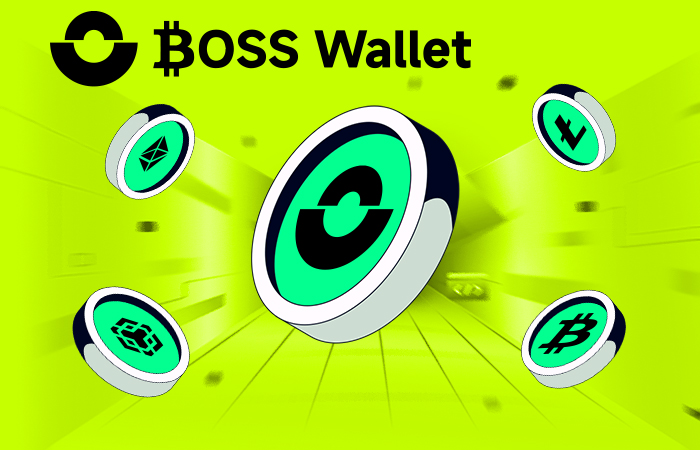 BOSS Wallet: Innovating Your Digital Assets with a Leading-edge Multichain Wallet