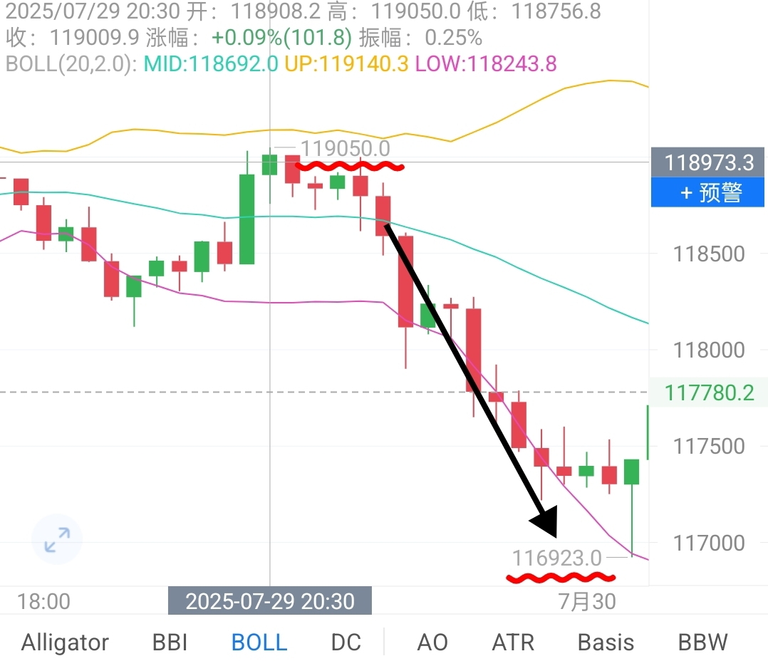 119000到116900，2100营利摆在眼前，落多少随心，留多少随势，自己做主最稳