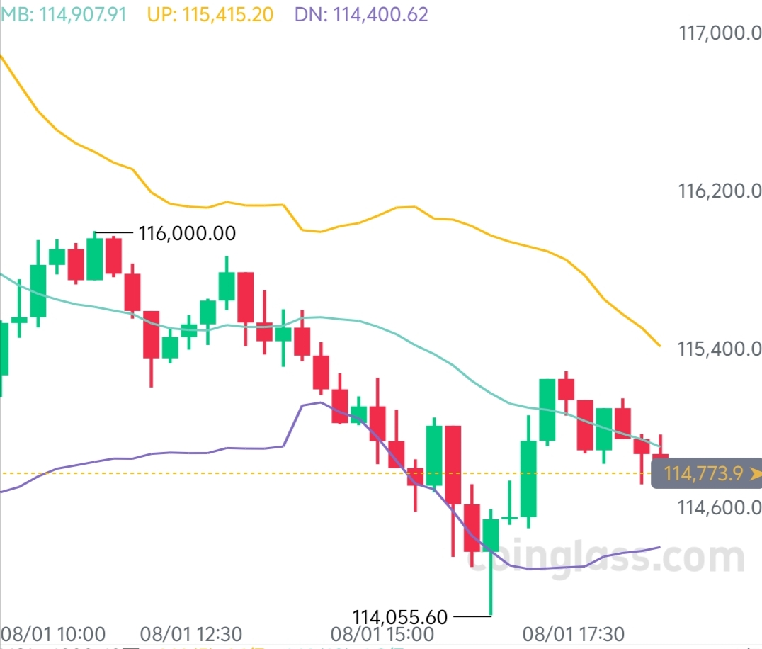 8.1  晚间

大饼近期从高点118900一线持续下行，目前在插针触及布林带下轨后出现反弹，整体市场情绪偏空。
 
从短期1小时图来看，大饼比价在114100-116100区间震荡。若后续有效跌破这一区间支撑，可能会进一步下探；不过晚间墨菲仍看好反弹走势，因此操作上建议在低位布局多单。
 
大饼：114000-114500区间做多，目标看向115600-116600，防守位设为113700。

姨太：3600-3620区间做多，目标上看3720-3820，防守位3570。