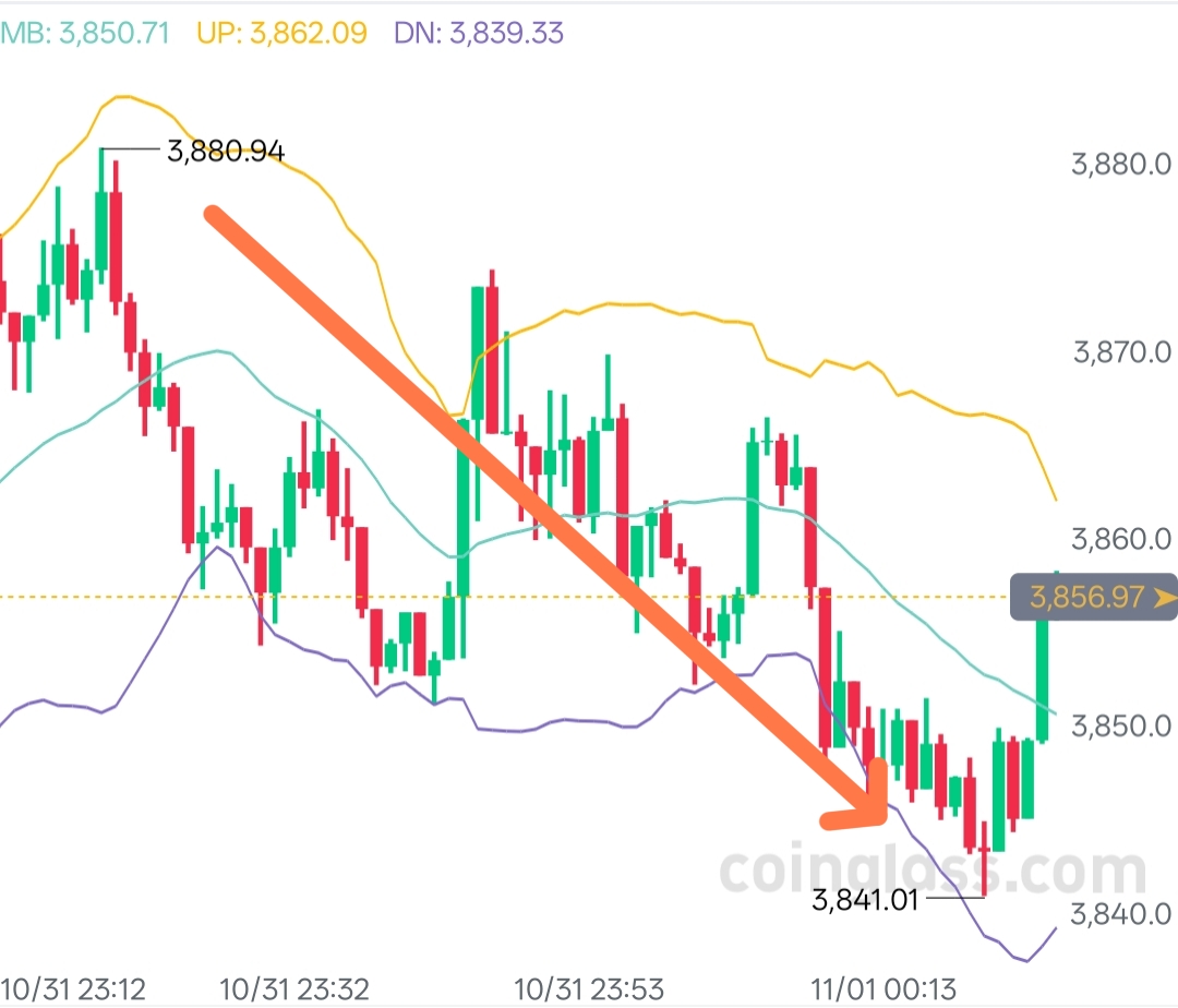 从来都不是空口白话，给出的都是实实在在的方向！

​
​