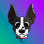 coin-icon