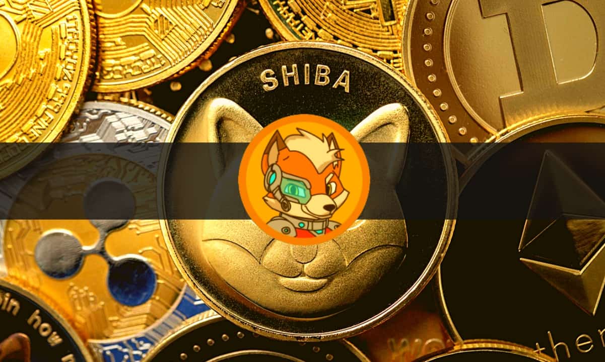 Shiba Inu将为$shib持有者推出.sib电子邮件，$GFOX将创下新高