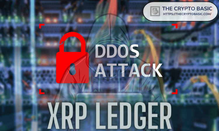 大规模DDOS攻击下的XRP Ledger：详情