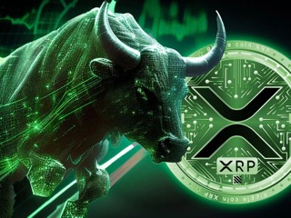 Valkyrie执行官期待美国证券交易委员会批准XRP ETF，这能将价格推高至100美元吗？