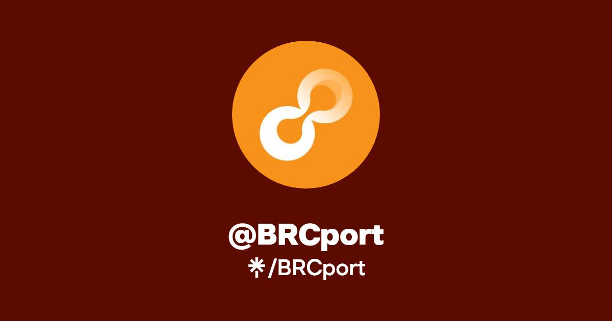 浅析BRCport：连接ERC20网络，BRC20世界的全栈基础设施