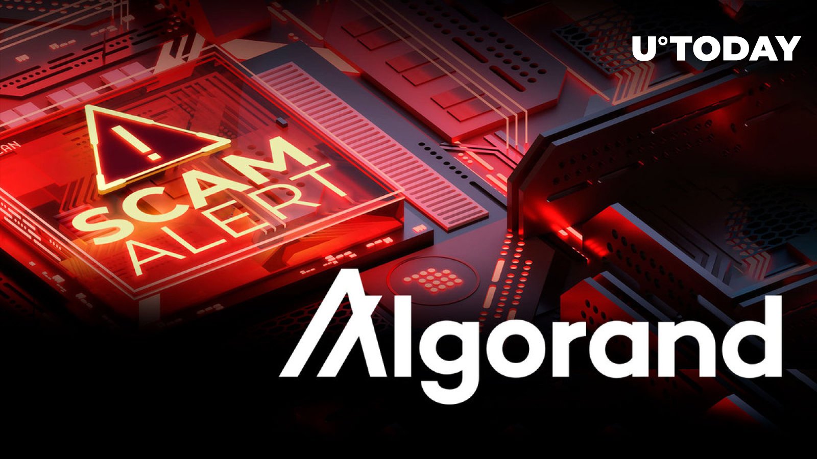 诈骗警报：Algorand创始人X账户被黑客入侵，小心