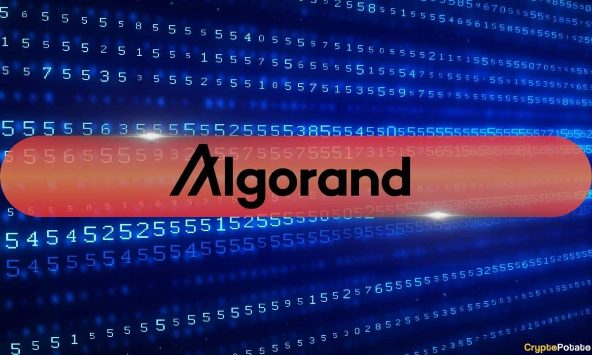 Algorand基金会CEO的X账户遭到黑客攻击