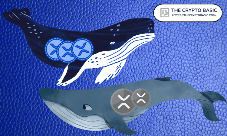 在比特币推高至5200美元上方的预期中，Whale积累了2.18亿XRP