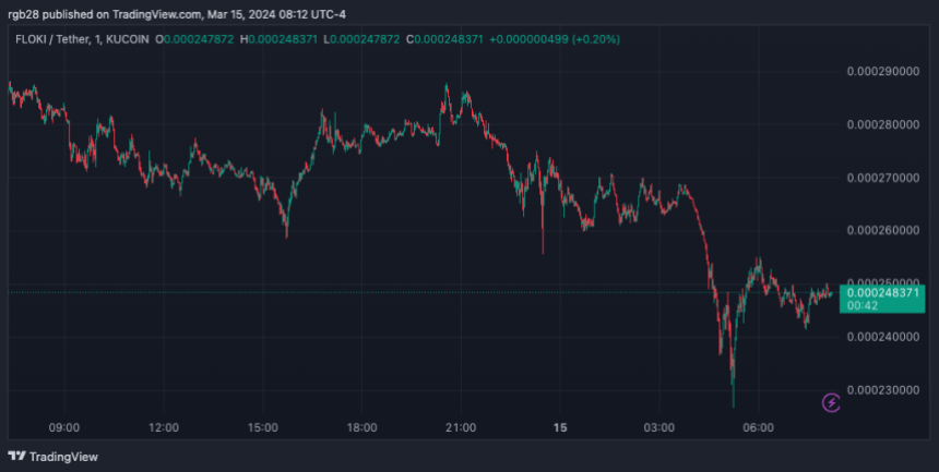 FLOKI, FLOKIUSDT, memecoin 