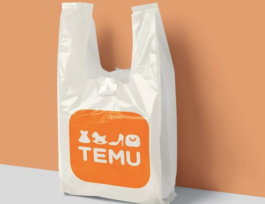 How Long Does Temu Shipping Take?
