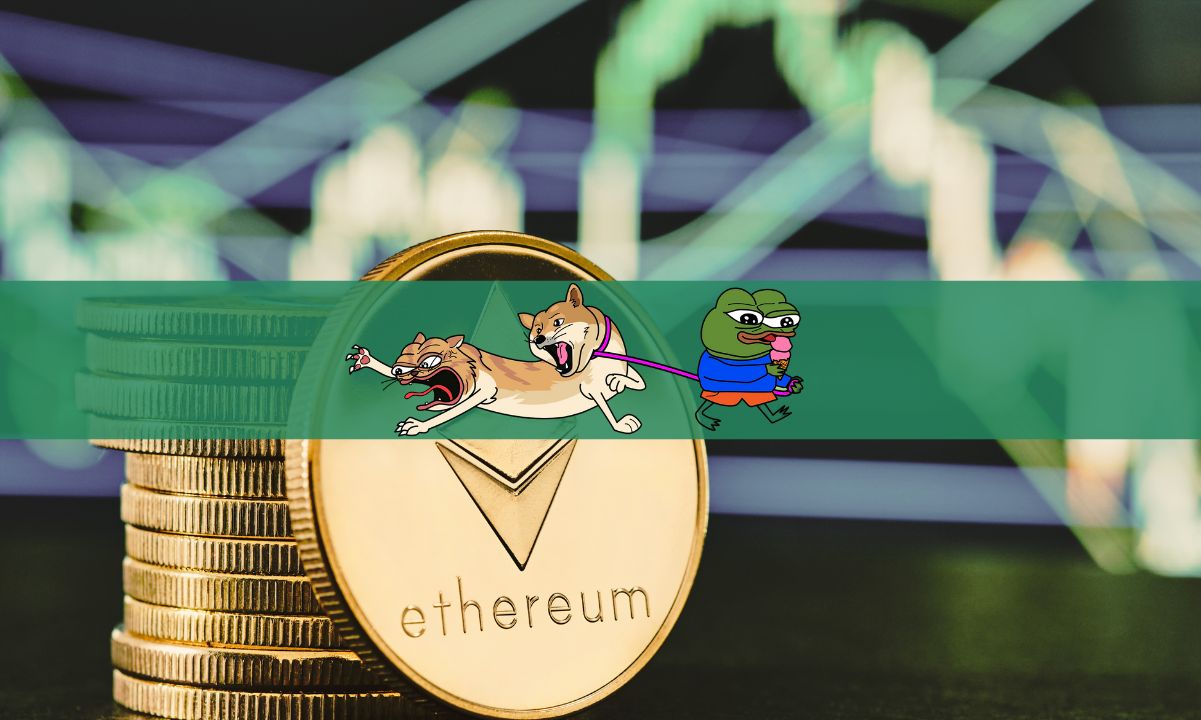 DogWifCat代币在两天内飙升超过4000%——下一个大索拉纳纪念币？