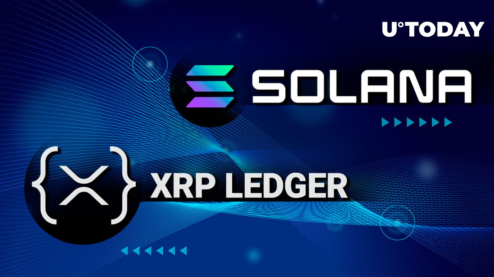 首席XRPL NFT创建者解释为什么Solana比XRP Ledger更好