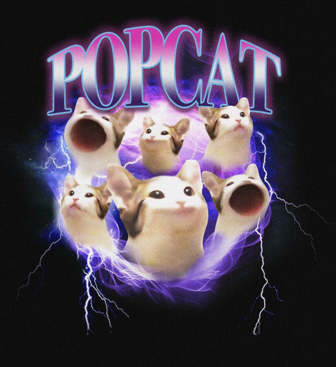 What is the Memecoin Popcat?