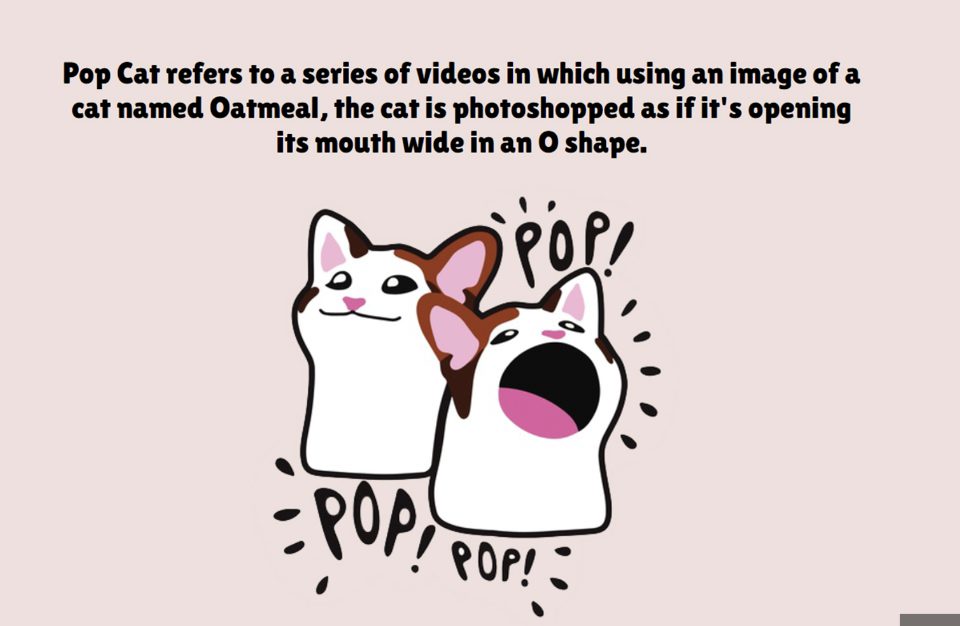 What is the Memecoin Popcat?
