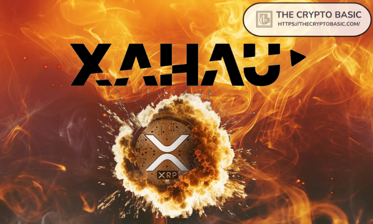 Xumm团队投票决定终止XRP到XAH Burn2Mint流程