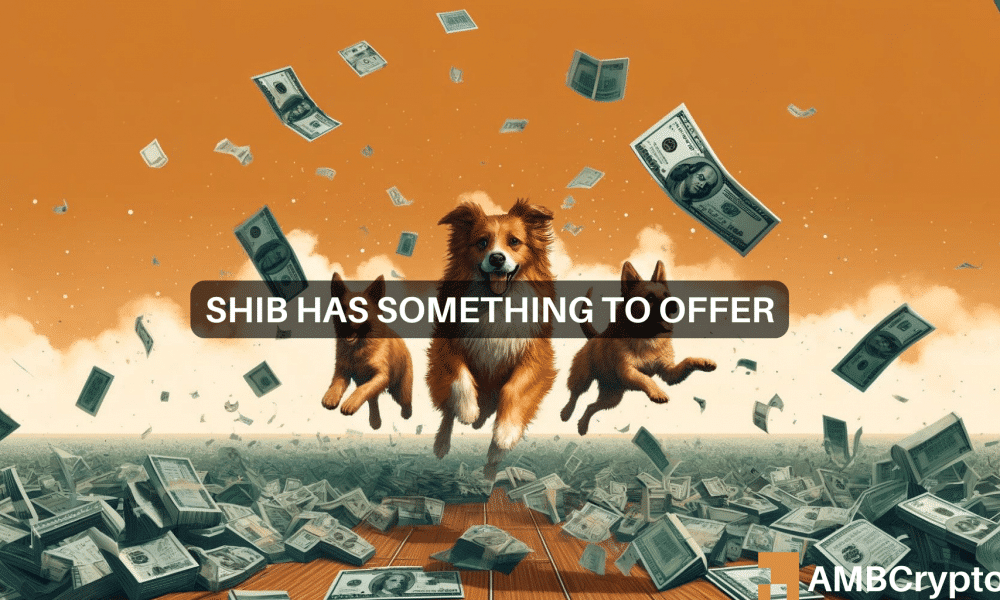 Shiba Inu价格预测-关于SHIB最新买入机会