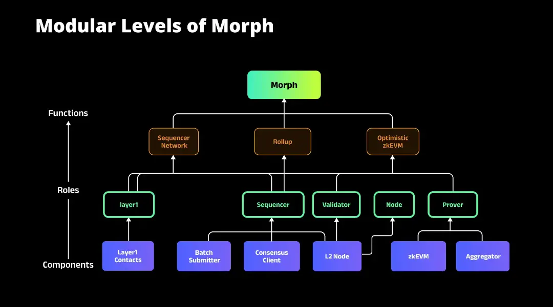 解读L2新秀Morph技术逻辑：能否带来L2的下半场转折？