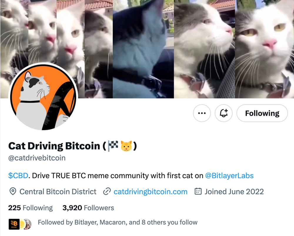 Bitlayer 生态项目盘点：新兴 Bitcoin Layer2 存在着哪些机会？