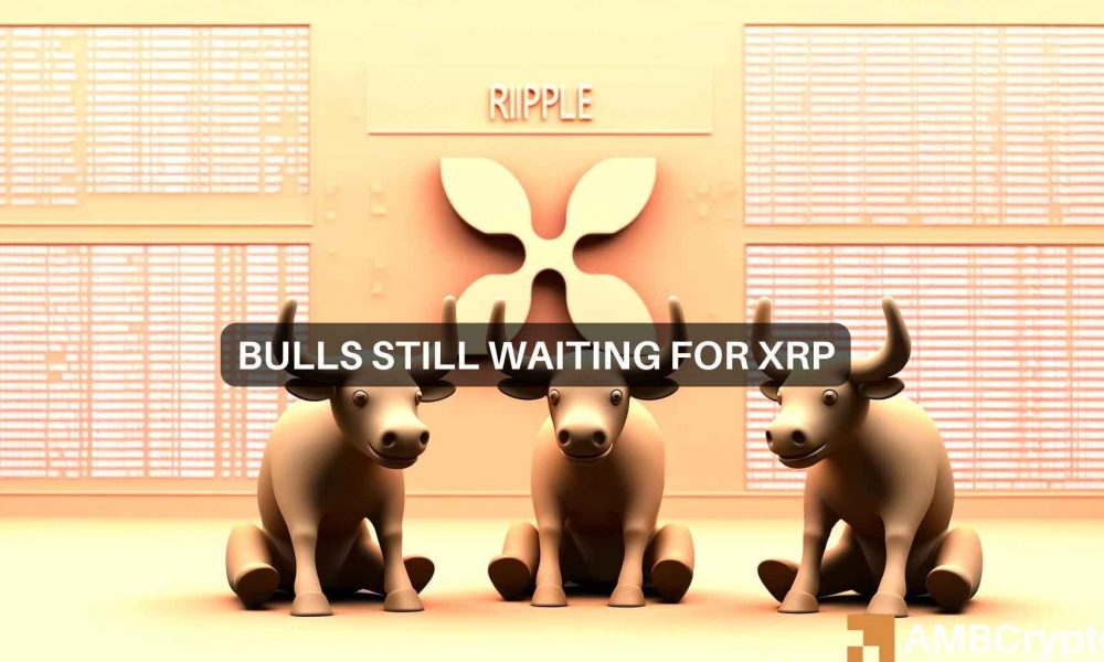 XRP：解读下一步——牛市还有机会吗？