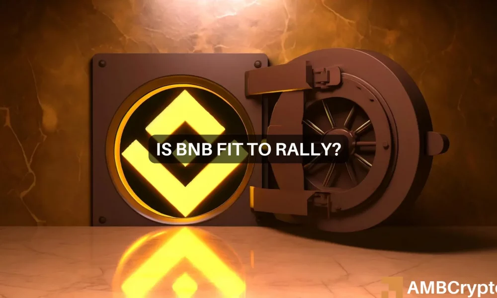 BNB Chain DEX交易量激增——考察这对BNB的价格意味着什么