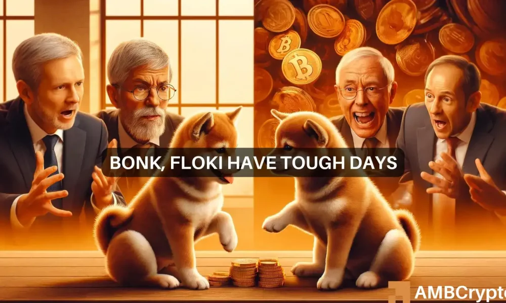 FLOKI，BONK动荡的一周：熊市还会继续吗？图标