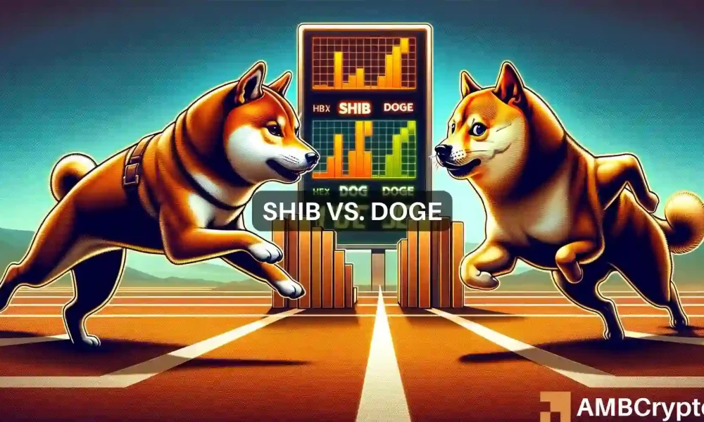 SHIB在24小时内击败DOGE：这是新黎明的开始吗？图标