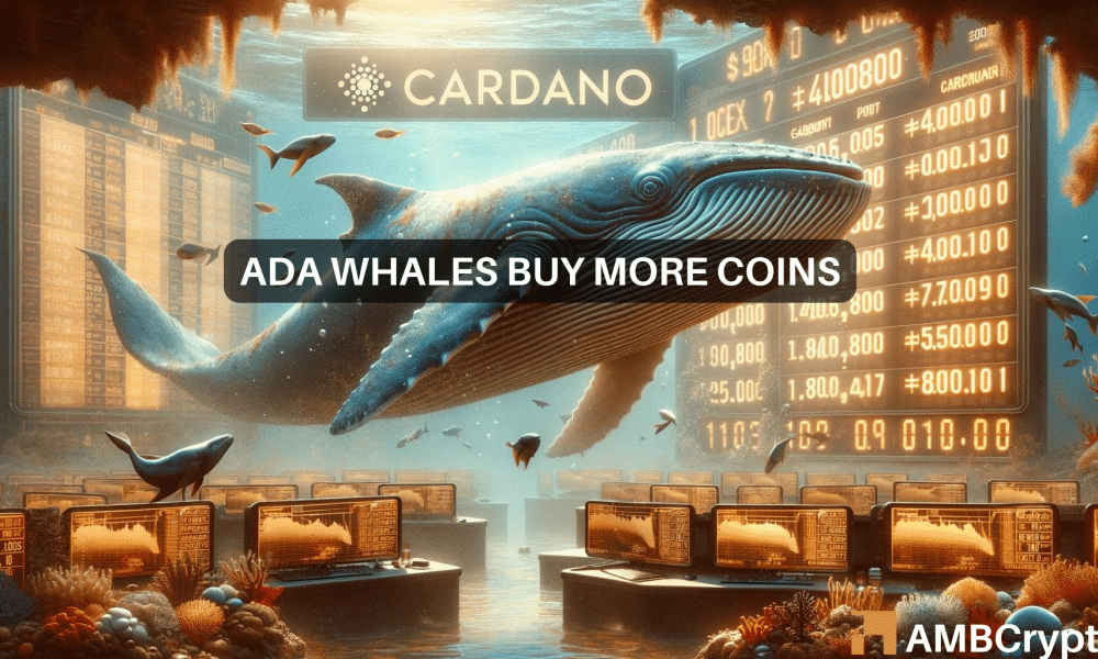 Cardano鲸能帮助克服ADA价值下降7%的问题吗？