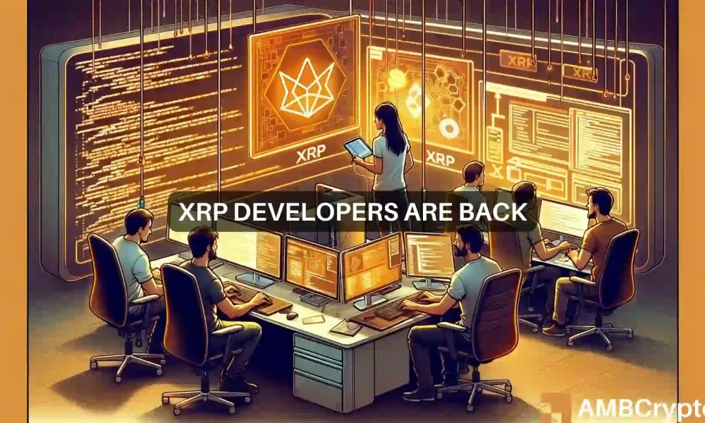 随着XRPL开发活动的加快，XRP将面临什么？图标