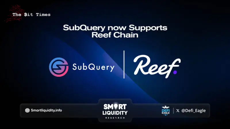 SubQuery现在支持Reef Chain
