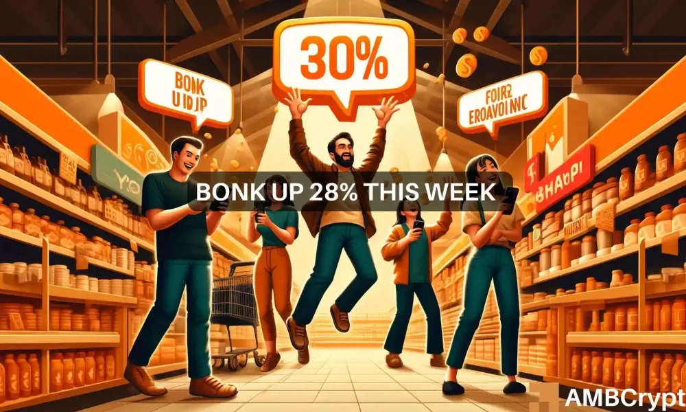 BONK上涨近30%，但为什么模因币会很快转为看跌图标