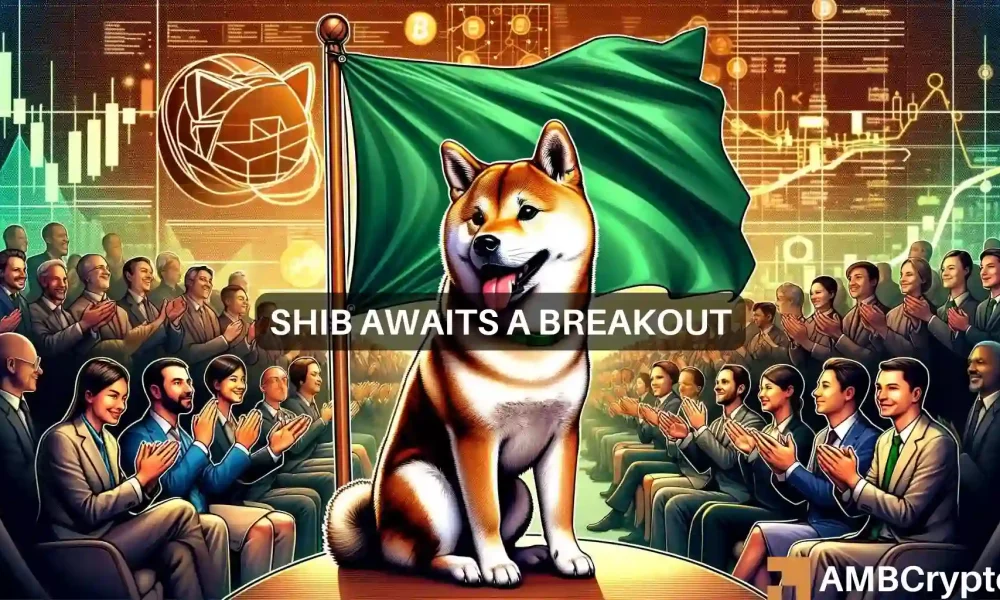 Shiba Inu在7天内上涨10%：SHIB会很快飙升至0.00003美元吗？图标