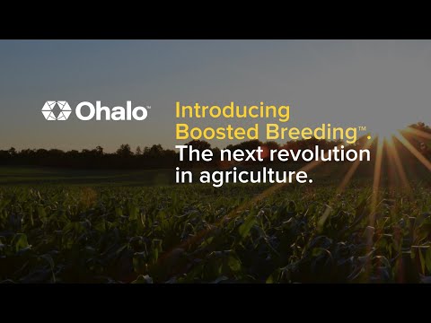 Ohalo™宣布发现助推育种™图标