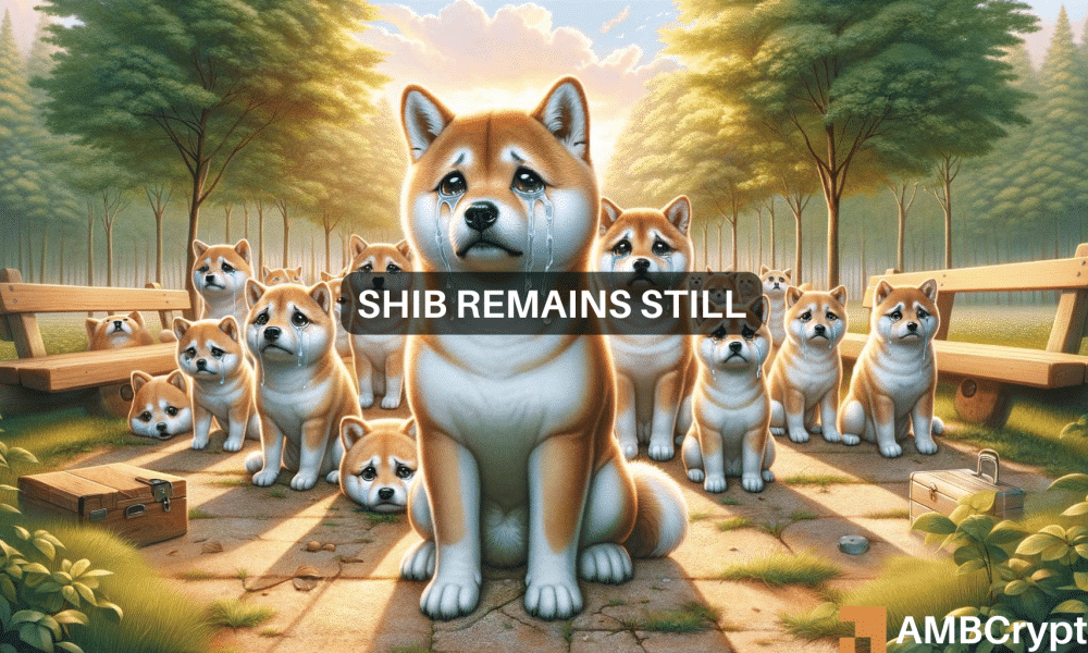 Shiba Inu一天内下跌10%：暴跌背后是什么？图标