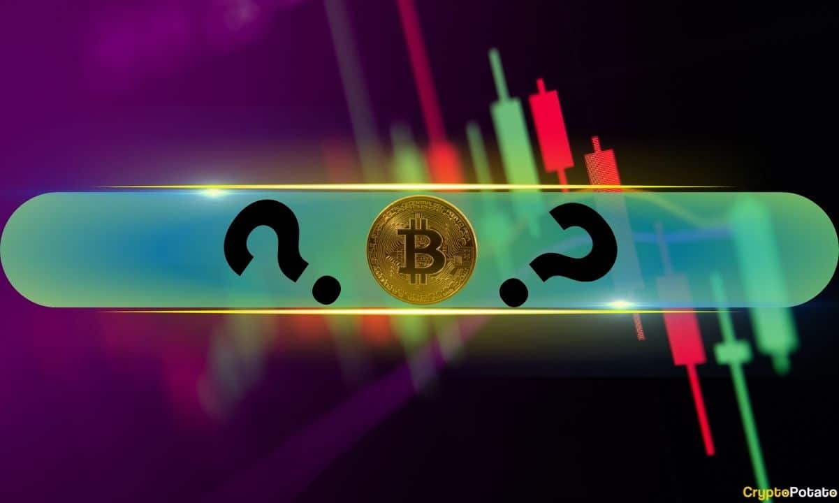 这些是本周表现最好的比特币（BTC）价格保持69K美元（周末观察）图标