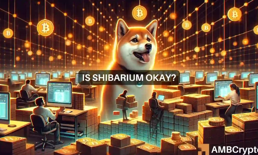 Shiba Inu的好消息？Shibarium区块数量接近500万图标