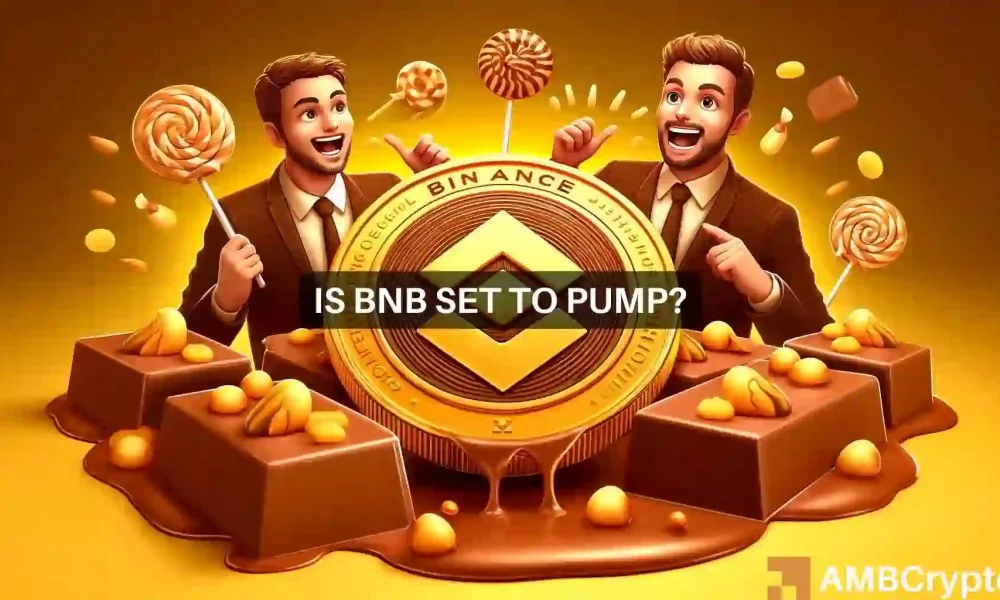 币安币：为什么接下来的两周对BNB来说很有趣