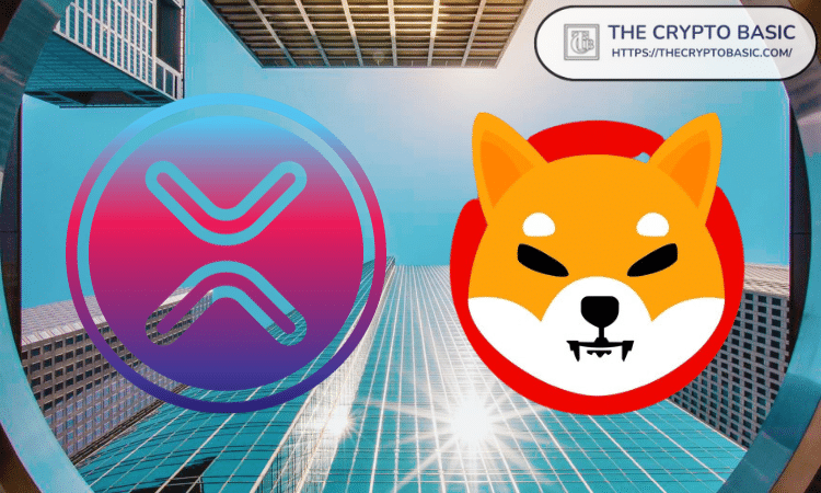 Shiba Inu和XRP在Bitrue交易所交易量最高的期货中排名图标