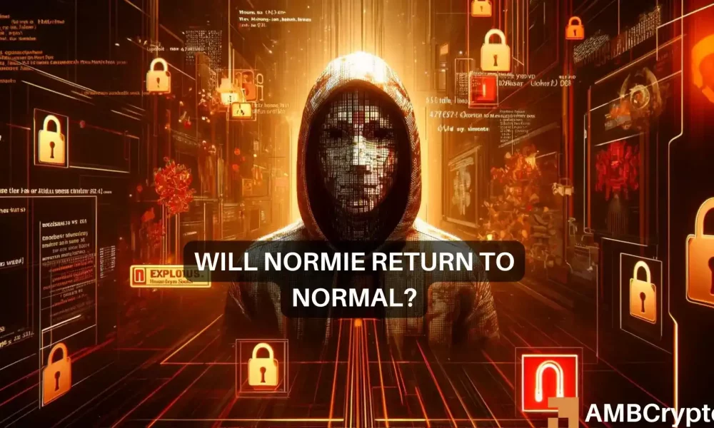 Normie加密货币暴跌90%：发生了什么，接下来会发生什么？图标