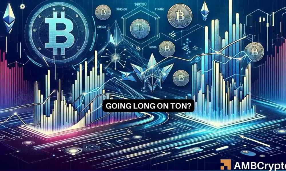 Toncoin 2024年的价格表现被这一因素所掩盖图标