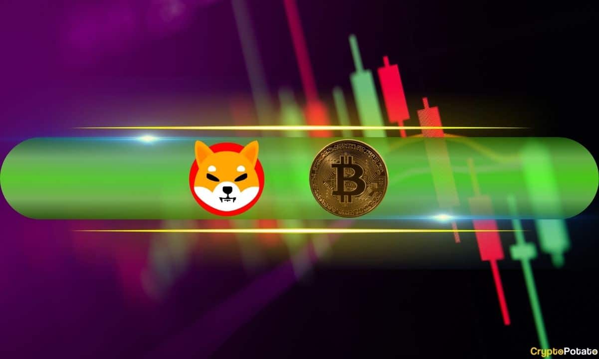 石巴伊努 (SHIB) 每天爆发15%,比特币 (BTC) 维持68万美元 (市场观察)图标