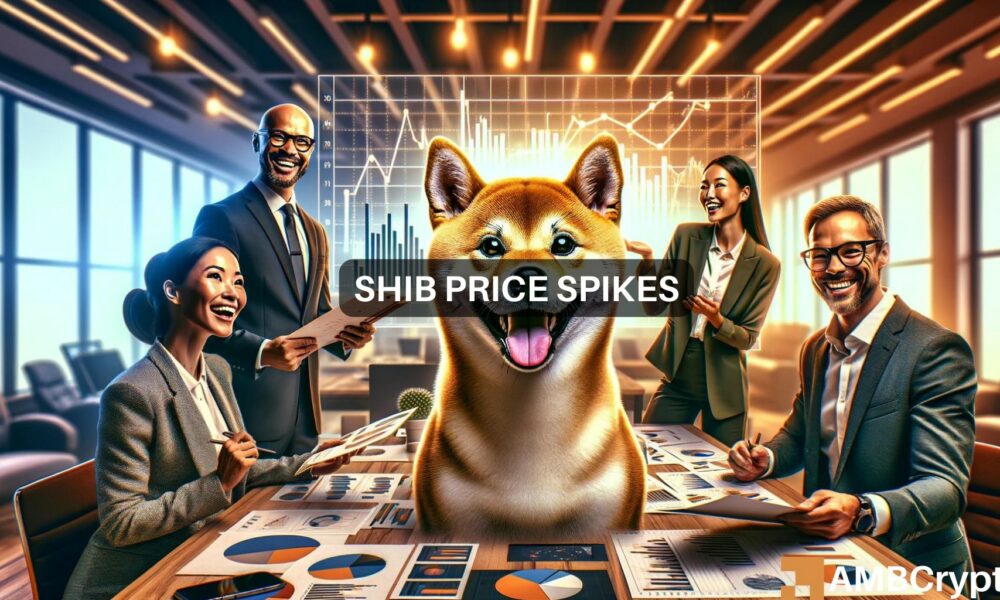 Shiba Inu的两位数拉力赛：是什么在推动它？图标