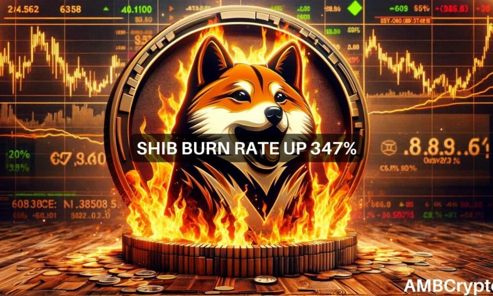 Shiba Inu的燃烧率爆炸：SHIB反弹正在酝酿吗？图标