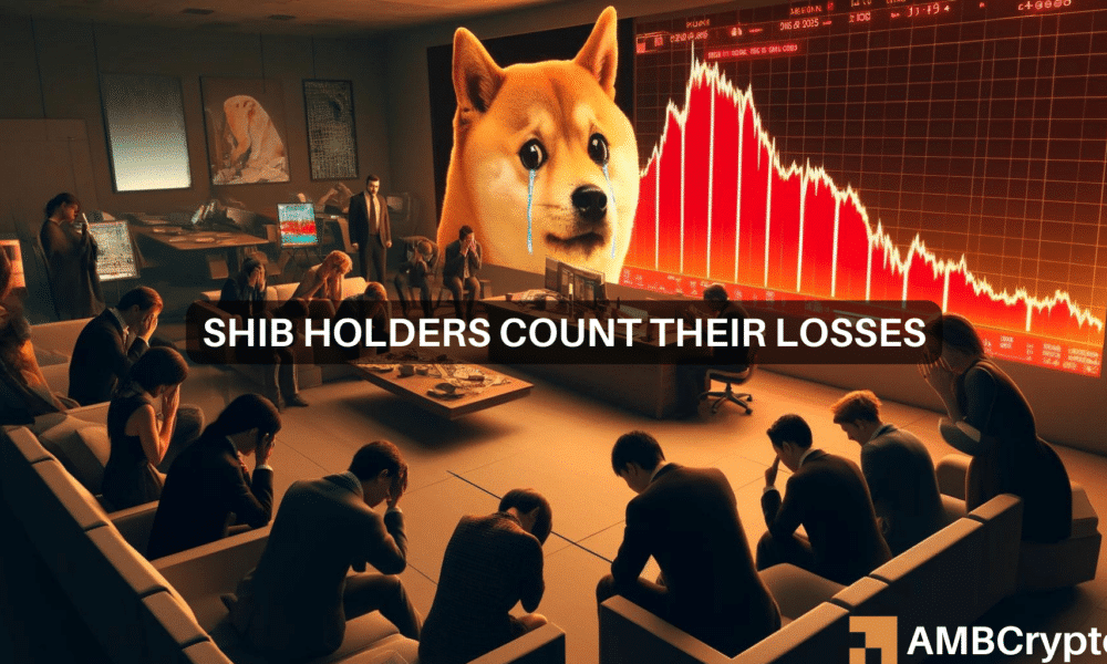 Shiba Inu：超过80万SHIB持有者不知所措——你是其中之一吗？图标