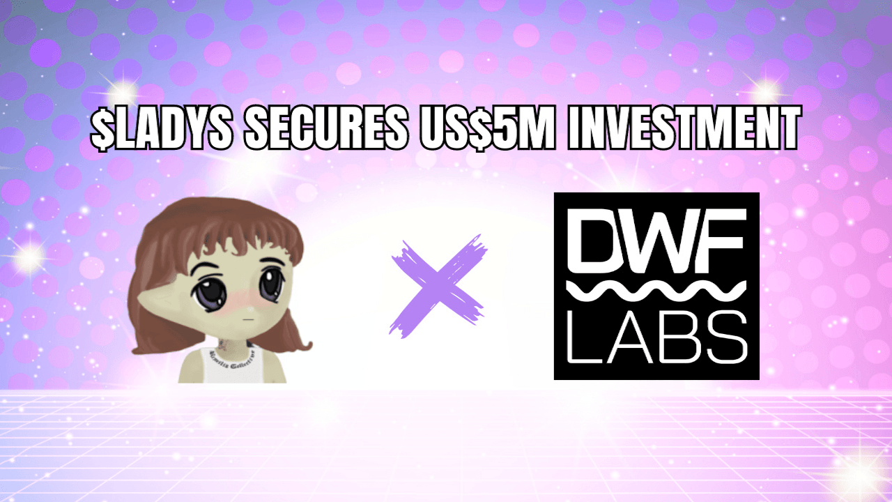 Milady Meme Coin获得DWF实验室500万美元投资图标