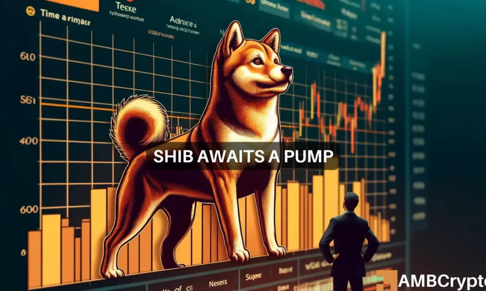 Shiba Inu准备复出了吗？关注0.000024美元的临界水平图标