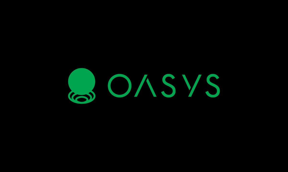 Oasys公布技术路线图以扩大游戏资产的效用图标