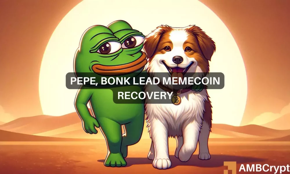 Pepe，Bonk在更广泛的市场下跌中引领模因币复苏图标