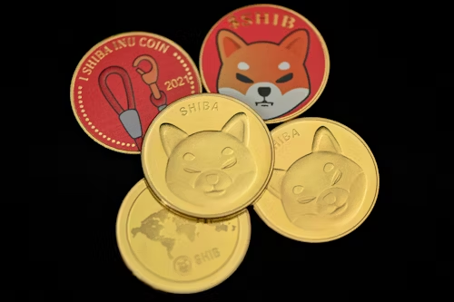 MoonBag在BNB和SHIB的斗争中成为2024年顶级加密货币预售的焦点