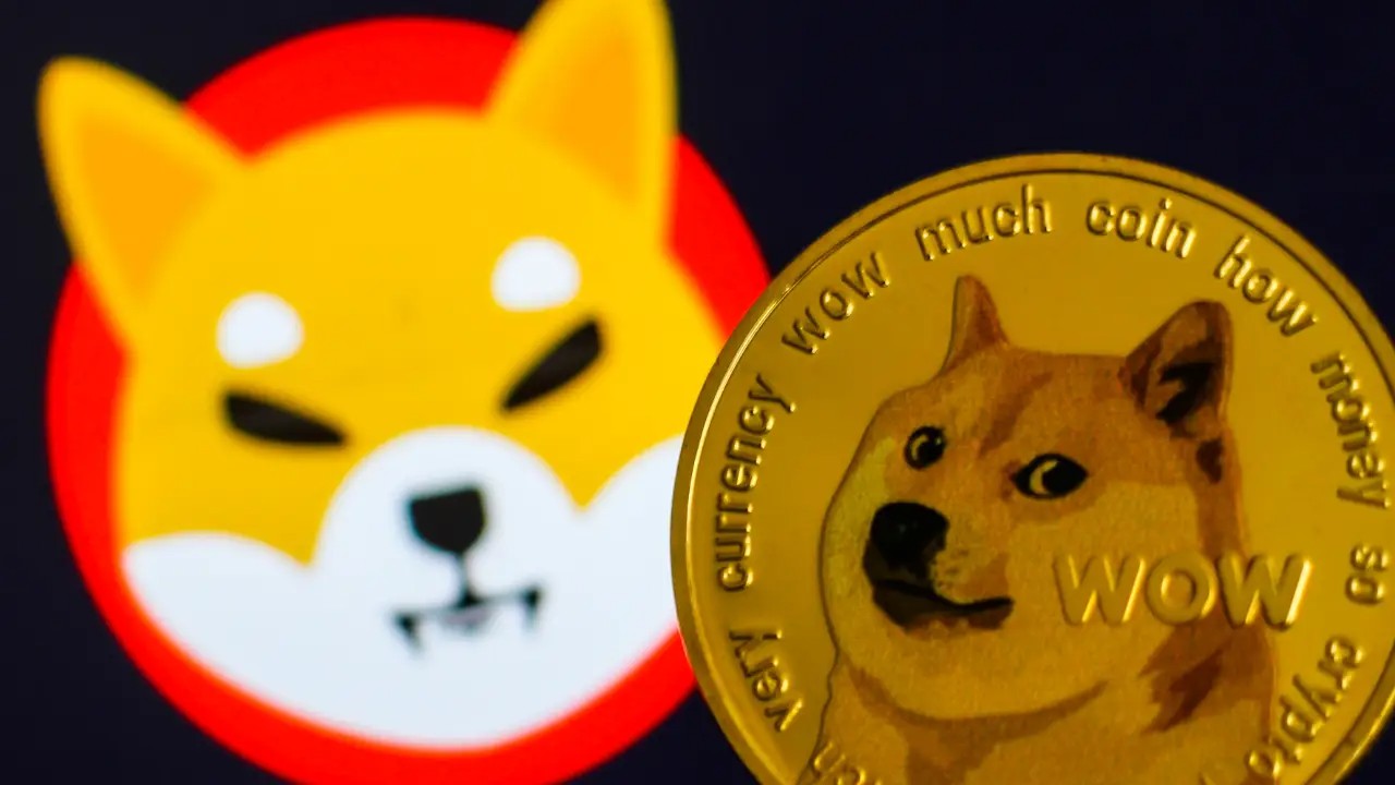 投资者是否在暴跌中放弃Dogecoin和Shiba Inu？图标