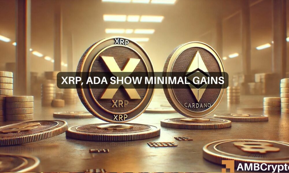 为什么坚持XRP，Cardano可能没有回报图标